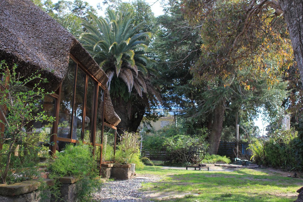 Santoral Restaurante Y Posada Pet Friendly Atlántida Exteriér fotografie